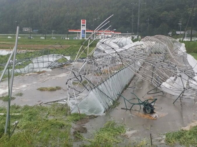 Wエンジン・えとう窓口、台風15号の被害状況をつづる「僕の家がある千葉県の富津市も」 1枚目