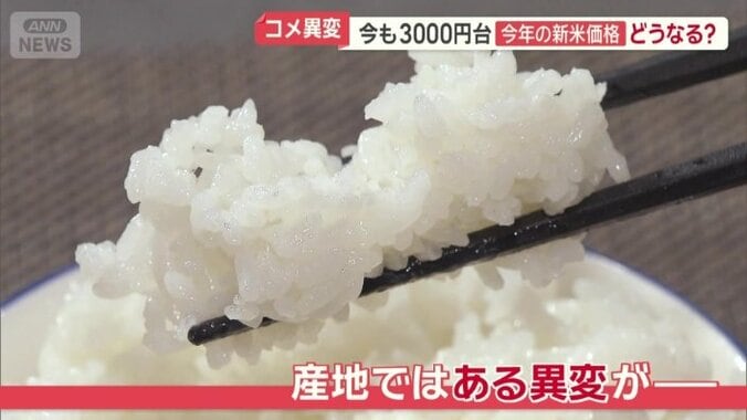 産地ではある異変が