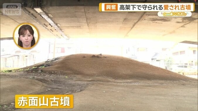 高架下にある赤面山古墳