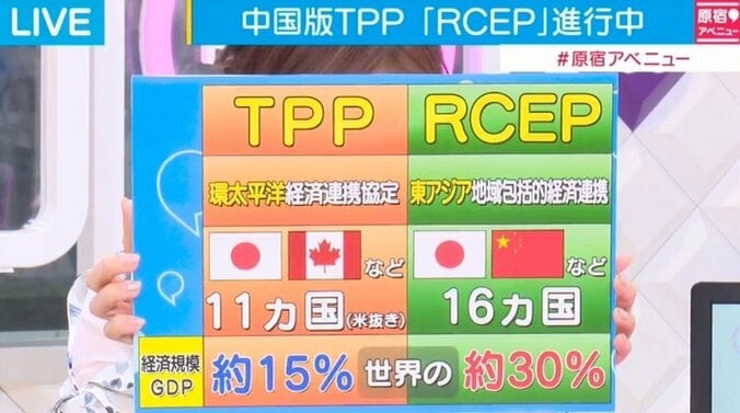 中国版TPPの「RCEP」、川村氏「日本のハンドリングは難しい」 2枚目