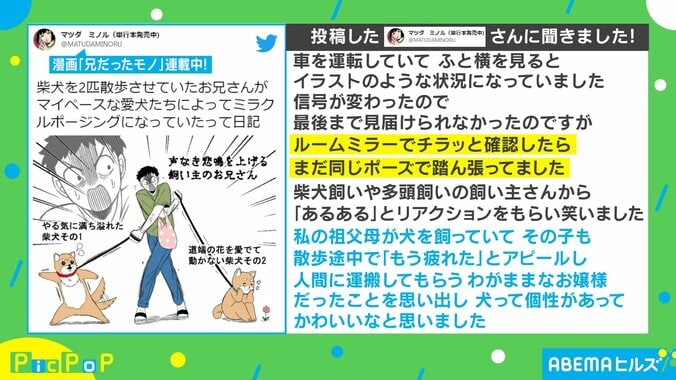 2匹の柴犬に“振り回される男性”を描いた秀逸イラスト 奇跡のようなポージングも「まじでコレ」「私の場合は大の字」共感の嵐 2枚目