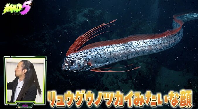 【写真・画像】「リュウグウノツカイみたいな顔」の人気芸人、全身包帯姿に…「やば」くっきー!ら驚き 2枚目