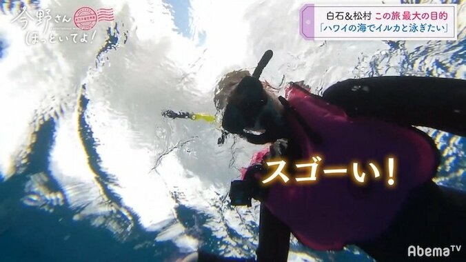 「イルカと泳ぎたい」白石麻衣＆松村沙友理、2人の夢がハワイで叶う 5枚目