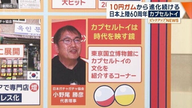 今後の展望について