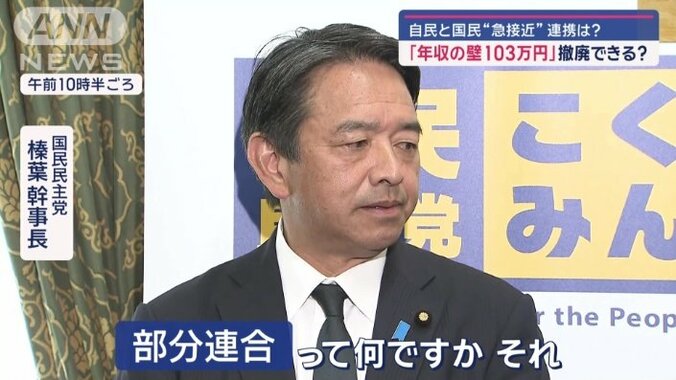 国民民主党　榛葉賀津也幹事長