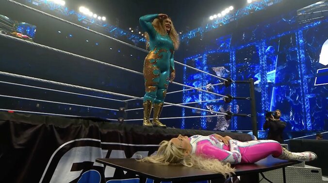 ダイブ直前、敬礼ポーズをみせるナイア