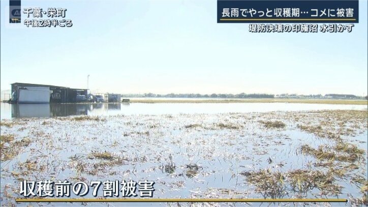 田んぼ被害