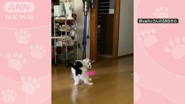 元気に遊ぶ