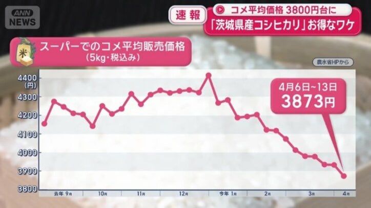 最新のスーパーでのコメの平均販売価格
