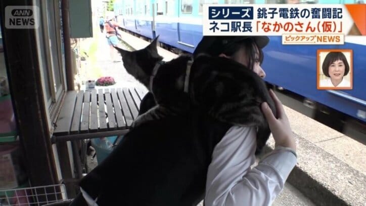 背中に一時“ひにゃん（避難）”