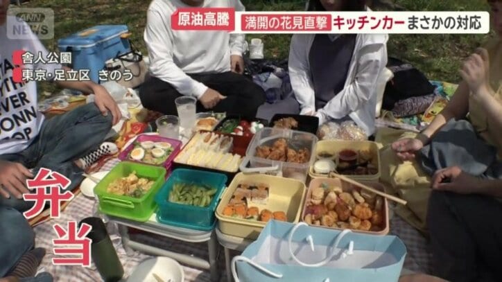 手作りのお弁当を持ってきている花見客