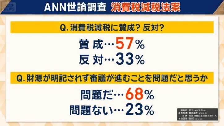 消費税減税法案について