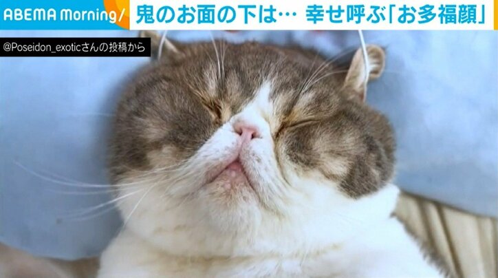 【写真・画像】 2枚目