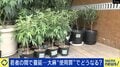 なぜ今「大麻使用罪」導入?増える若者の乱用も日本の生涯経験率は1.4% 罰則追加の意味と時代のトレンドは