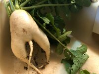 北別府学『まぁよく気がつく』