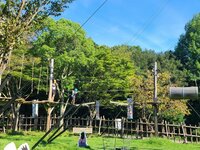 小原正子『限界☆』