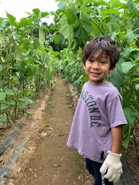 ラミレス美保『絶えないイタズラ』