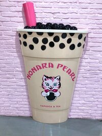 堀ちえみ『タピオカミルクティーLOVE』