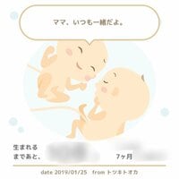 蒼井そら『双子の性別。』