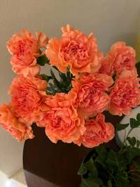 戸田恵子『こんげつのかいうんび！』