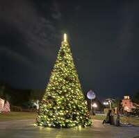 Seiko Darvish『母親お休みしますから』