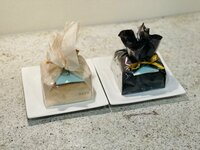 薬丸裕英『久しぶりに会った姪』