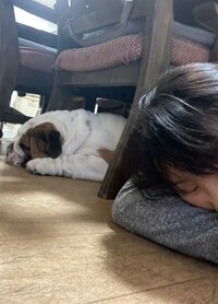 北斗晶『今日の夕食は…』