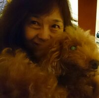 大島康徳『検査結果についてのご報告』