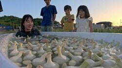 ニンニクを愛しすぎた女性、受付に就職するため「ニンニク風呂」で最後のお別れ…宮本亞門「就職先が間違ってない？」