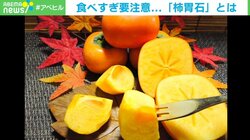 体内にできた5cmの「柿胃石」…原因は“柿の食べ過ぎ”? 医師に聞く注意点