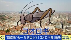 「コオロギ食」なぜ炎上 “給食提供”は早すぎた？ 専門家「被害者はいないのに…」