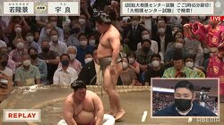 座る姿が“テディベア状態”敗れた宇良の「やられた～」な顔にファンから「かわいい」と反響殺到