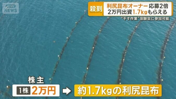 1株2万円で株主になると約1.7キロの利尻昆布