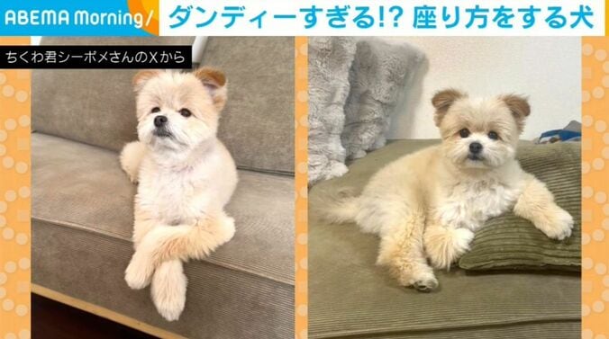 ちくわくん