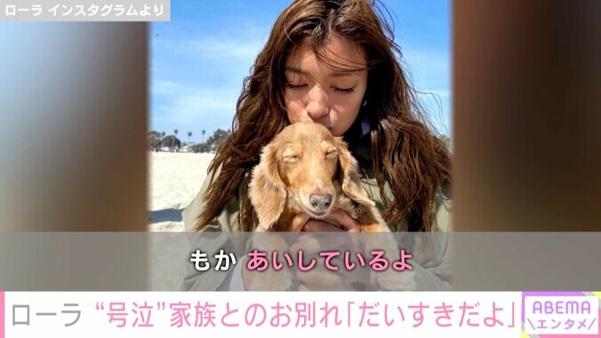 ローラ、愛犬・モカとの別れを涙で報告「いっぱいいっぱい愛をありがとう」「いつもわたしの心の中にいるよ」 1枚目