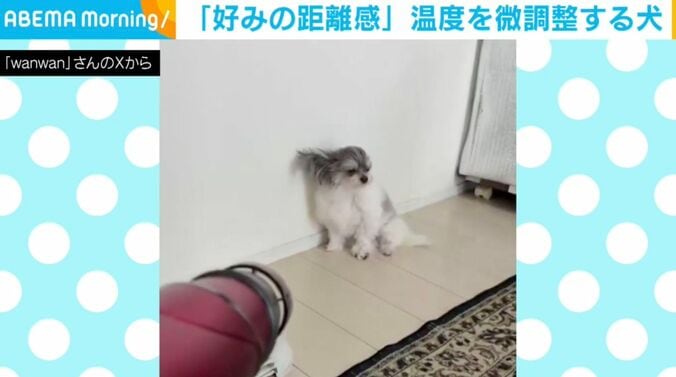 「もじゅ」くん