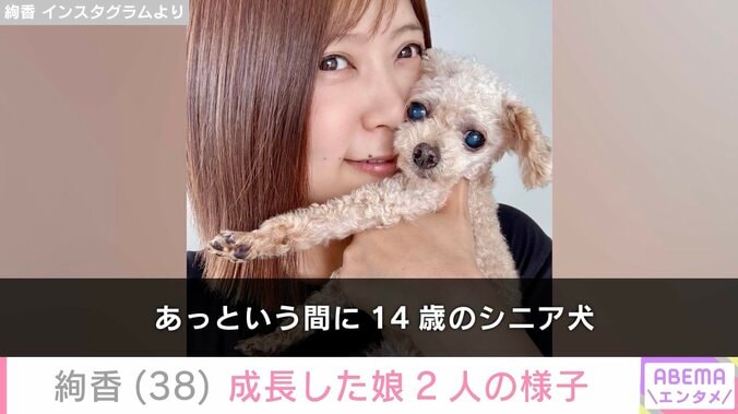 【写真・画像】水嶋ヒロの妻・絢香、成長した娘たちの様子に反響「ほっこりします」　1枚目