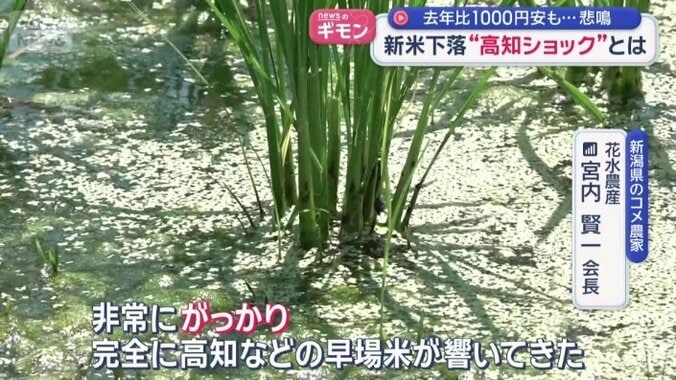 影響は新潟にも