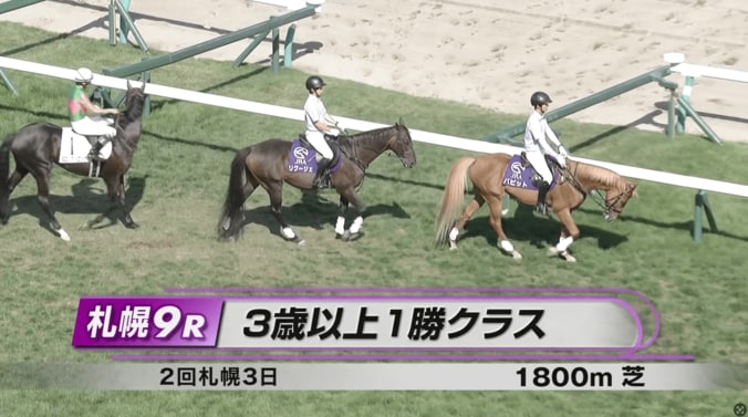 たてがみと尻尾に注目！ 尾花栗毛の人気誘導馬“どアップ姿”