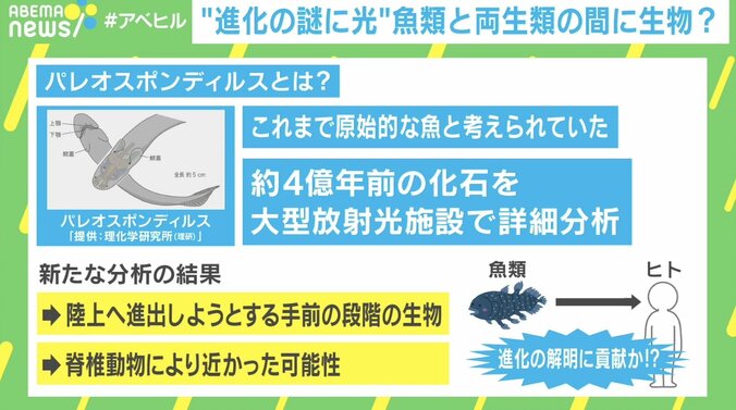 「論文が出てない＝専門家が何も言えない状態」サイエンスコミュニケーターに話題の科学について聞く 2枚目