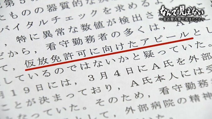 「なんで見えない、わたしわからない…」名古屋入管で死亡したウィシュマさんの言葉が問いかけるもの 9枚目