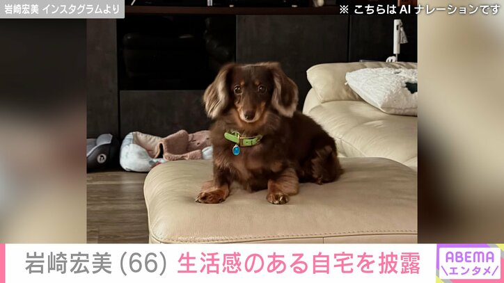 【写真・画像】岩崎宏美（66）、生活感のある自宅でくつろぐ預かった犬を披露「今夜はこの子もお泊まりです!」　2枚目