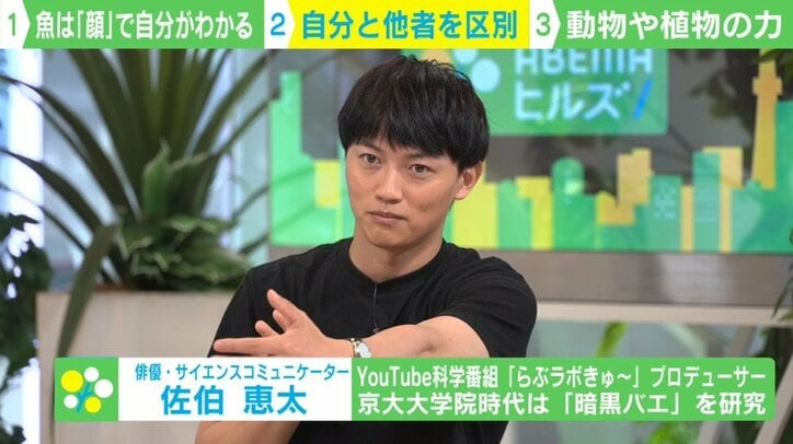 「魚も容姿を気にする?」世界初の発見 自己認識=心も存在?