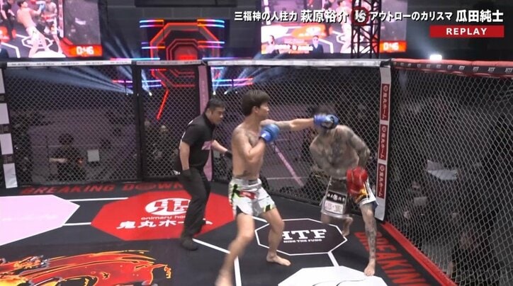 【画像】瓜田純士、壮絶に散る（複数）