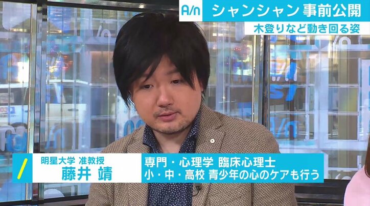上野動物園「シャンシャン」が一般公開へ　観覧応募殺到、パンダが愛される心理とは