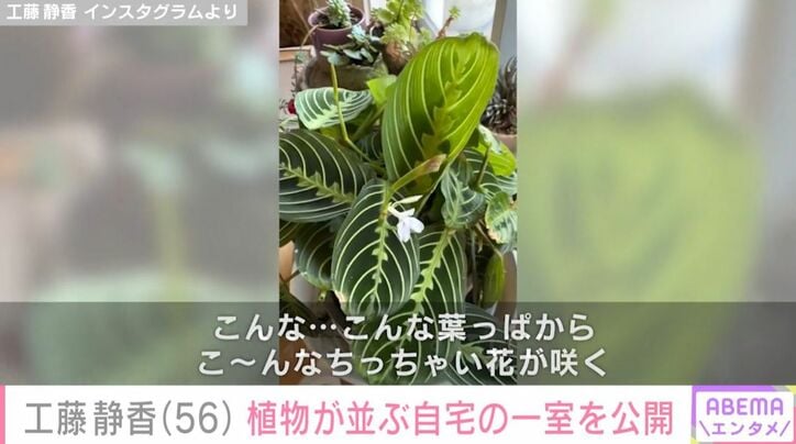 工藤静香 Instagramより