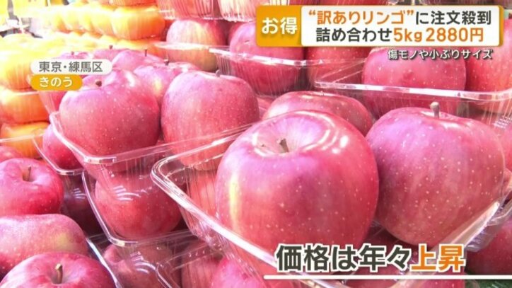 価格は年々上昇