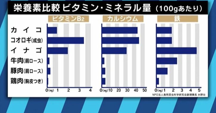 人類の胃袋を救うのは“虫”?昆虫食パーティに潜入!その魅力と可能性に迫る