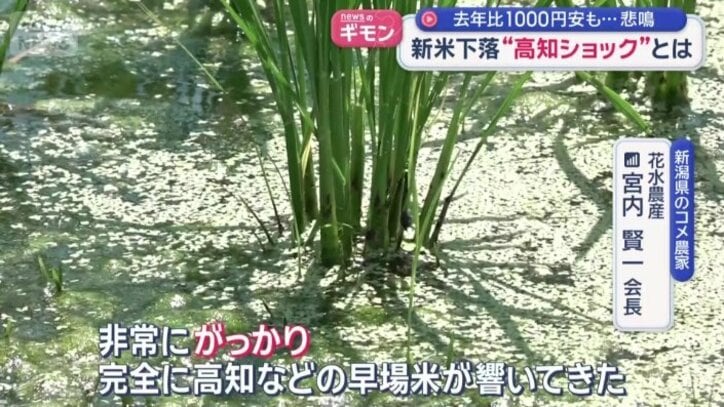 影響は新潟にも