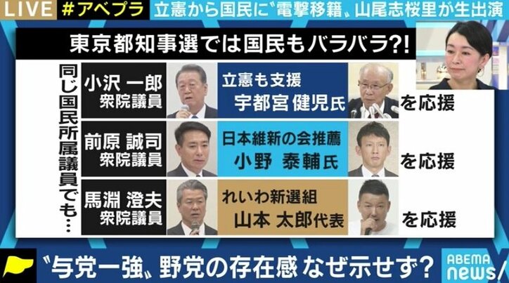 「リベラルで前向きな憲法改正というものがあるはずだ」山尾志桜里議員が国民民主党を選んだ理由…古巣・立憲民主党との“合流話”に複雑な心境も
